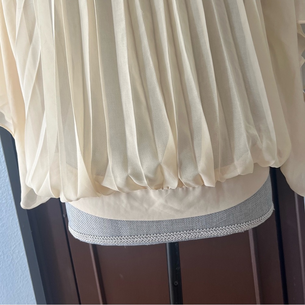 Meadow Rue Pleated Sheer Flyaway Blouse - Picture 6 of 12